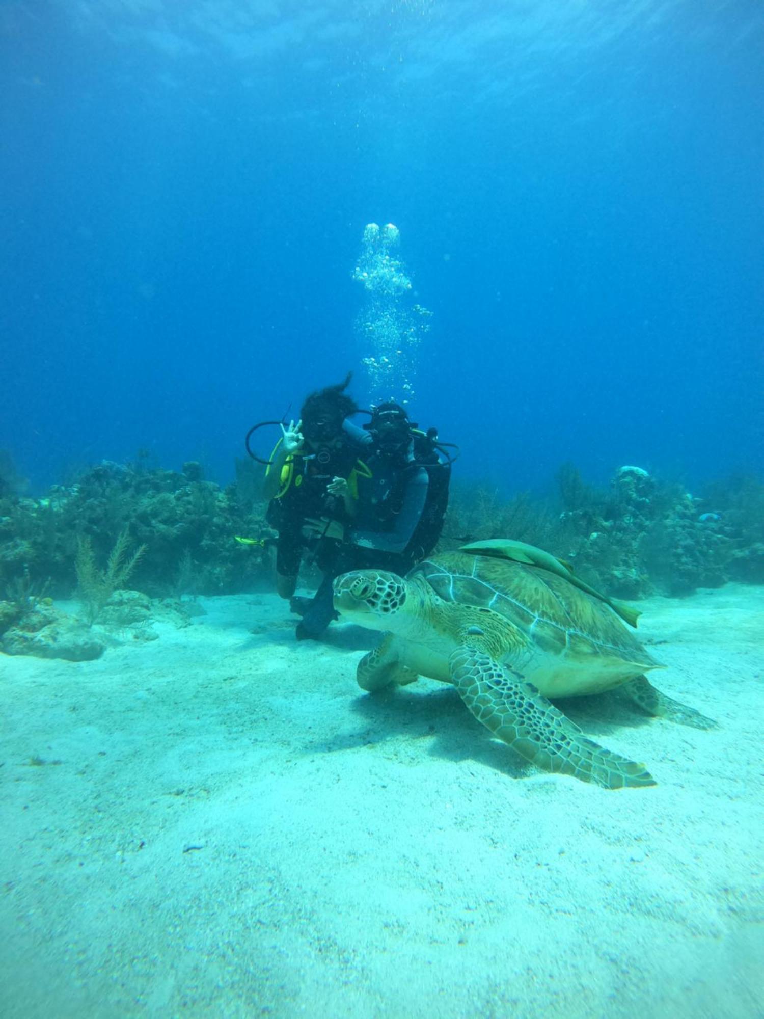 Itza Hotel Akumal Zewnętrze zdjęcie